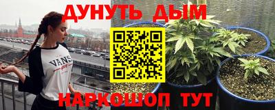 2c-b Новозыбков