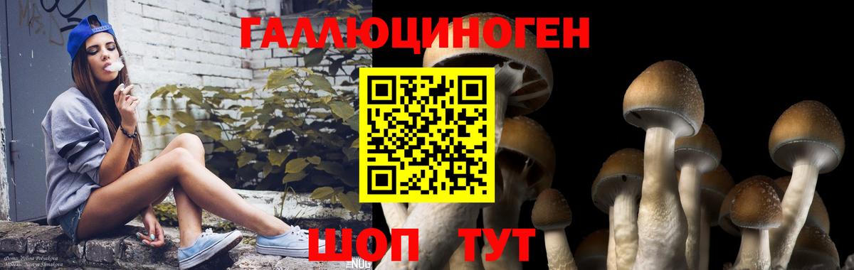 Узловая  Галлюциногенные грибы GOLDEN TEACHER  Вход с VPN 